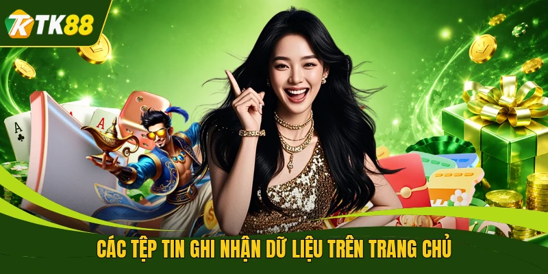 Các tệp tin ghi nhận dữ liệu trên trang chủ